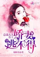总裁大人在上我在下