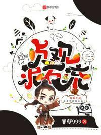 贞观泥石流TXT免费