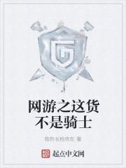 网游之这货不是骑士免费阅读