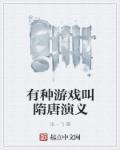 隋唐演义传游戏