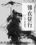 锦衣昼行视频号