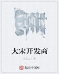 大宋开发商cp
