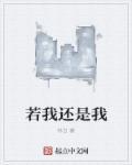 若我什么意思