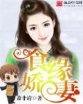 娇妻缠缘全集