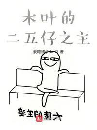 木叶的二五仔之主免费