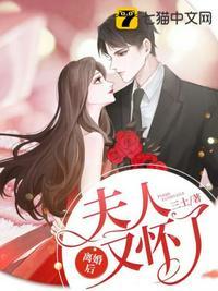 离婚后夫人怀了双胞胎免费阅读