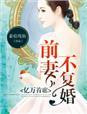 前妻不复婚全文免费阅读