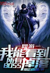 我能看到所有boss的掉落