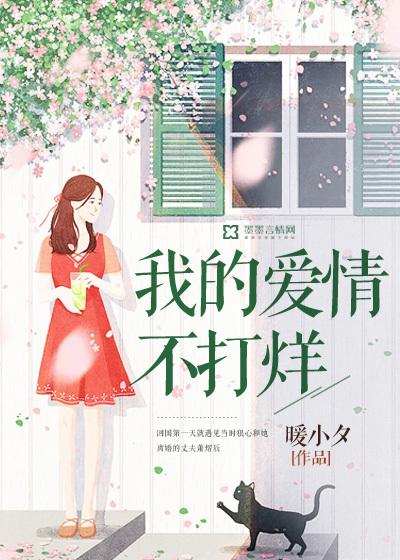 我的爱情打了烊