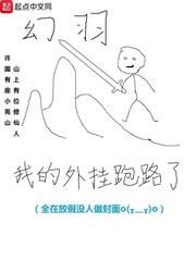 我的外挂跑路了 精校版