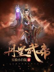 丹皇武帝实力境界划分