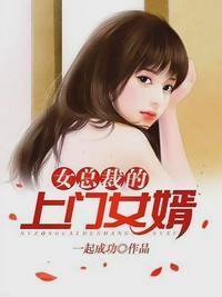 医婿叶凡txt免费