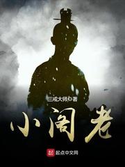 小阁老TXT百度