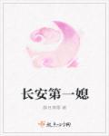 长安一条柴微博