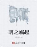 崛起于明末1646