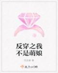反穿之我不是萌娘 百度