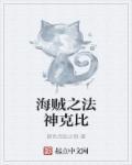 海贼之泽法