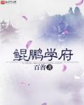 鲲鹏教育培训机构怎么样