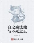 不死者之王复活魔法