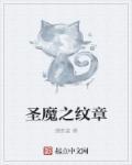 火焰纹章圣魔之光石攻略图文攻略