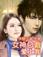 女神总裁爱上我愤怒的小鸟在哪个软件能看