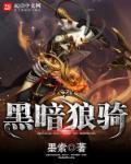 黑暗狼卫完整版