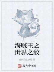 海贼王之世界之敌