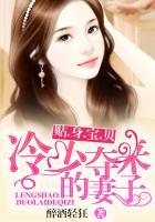 贴身宝贝:冷少夺来的妻子