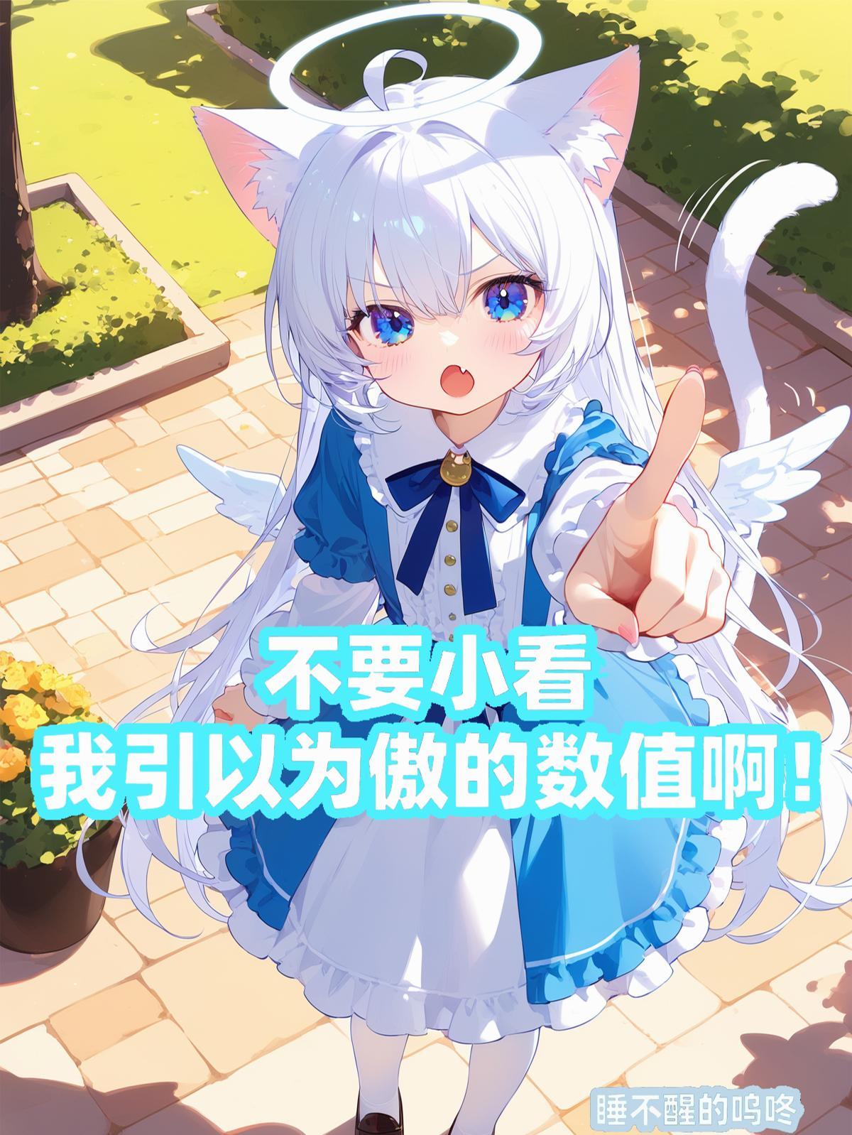 不要小看我引以为傲的数值啊！