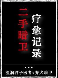 二手暗卫疗愈记录