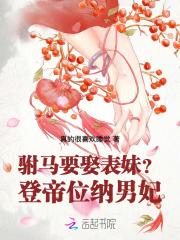 驸马要娶表妹？登帝位，纳男妃！