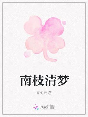 南枝清梦