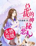 总裁的神秘恋人