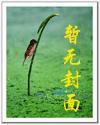 全能戒指